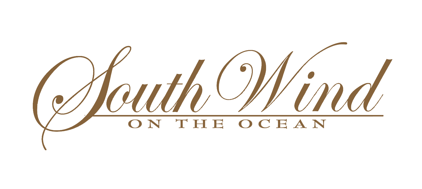 The South Wind Logo